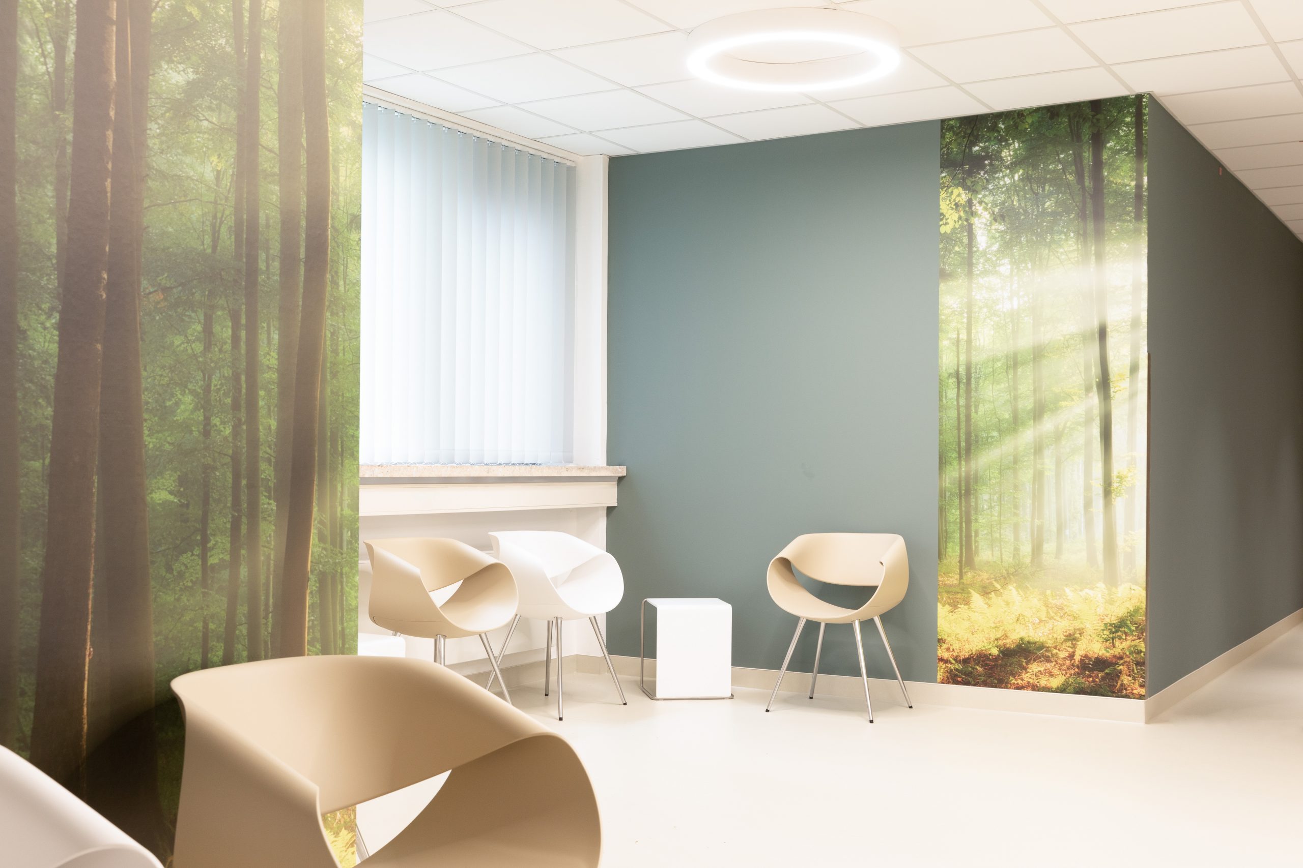 Wandgestaltung mit Digitaldruck
